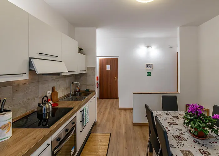 Apartament Domus Dino