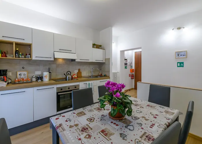 Apartament Domus Dino *