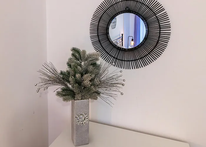 Domus Dino Apartament *